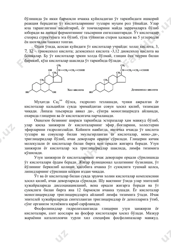 дан, бу ерда ошқозон ширасининг кислотаси, бикарбонат иштирокида нейтралланади. реакция натижасида ажралиб чиқадиган со2 пуфакчалари овқатнинг ҳазм қилиш ширалари билан яхши аралашишига шароит туғдиради. энзим ошқозон ости безидан нофаол, зимоген пролипаза шаклида ажаратилиб? ингичка ичакда фаол липазага айланади. ёғларнинг ичакда ҳазм бўлишида ўн икки бармоқли ичакка қуйиладиган ўт таркибидаги ишқорий реакция берадиган ўт кислоталарининг тузлари муҳим рол ўйнайди. улар юза таранглигини пасайтириб, ѐғ томчиларини майда заррачаларга бўлиб юборади ва липаза ферментининг таъсирини енгиллаштиради. ўт кислоталар стеорид структурага эга бўлиб, тўла тўйинган стерон ҳалқаси ва 5 углеродли ѐн шохчадан ташкил топган. одам ўтида, асосан қуйидаги ўт кислоталар учрайди: холат кислота, 3, 7, 12 – триоксихол кислота; дезоксихол кислота -3,12 диоксихол кислота ва бошқалар. бу ўт кислоталар эркин холда бўлмай, глицин ѐки таурин билан бирикиб, қўш кислоталар шаклида ўт таркибида бўлади. муҳитда са2 ++ бўлса, гидролиз тезлашади, чунки ажралган ѐғ кислоталар кальцийли сувда эримайдиган совун ҳосил қилиб, тизимдан чиқади. липаза таъсирида аввал …