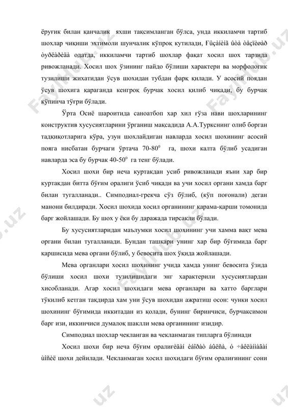 чекланган турдаги хосил шохи фақат битта бўғим оралиғидан иборат. қисқа бўлганлиги сабабли кўпинча шохлари ғуж бўлиб усади. хосил шохининг бу хилдаги чекланган бўлишига сабаб шуки, биринчи ягана бўғим оралиғи охиригача жойлашган барг қўлтиғидаги куртак гулкуртакка айланади ва ўсишдан тўхтайди. мана шу барг қўлтиғидаги бошқа битта ёки иккита куртак хам қулай шароит вужудга келиши билан кўкара бошлаб гул органига айланади. шундай қилиб қулай шароитда чекланган типдаги хосил шохининг ичида хам кейинчалик кусакка айланиши мумкин бўлган 2-3 та, баъзан 4 та ва ундан хам кўппроқ гул пайдо бўлади. шохлари чекланган ва чекланмаган типдаги ғўзаларнинг яна шундай навлари борки, булардан хосил шохи мутлақо шаклланмайди, гул (мева) бандлари асосий поядаги барг қўлтиғида битта ёки иккитадан, баъзан кўпроқ бўлиб жойлашади. бу хилдаги ғўза туплари чекланган тип ғўзалар каби жуда ғуж ўсади. кейинги йилларда шу типга мансуб бўлган бир қанча ингичка толали ғўза навларини яратдилар ва бунга "ноль тип" даги ғўзалар деб ном берилди. хосил шохи …
