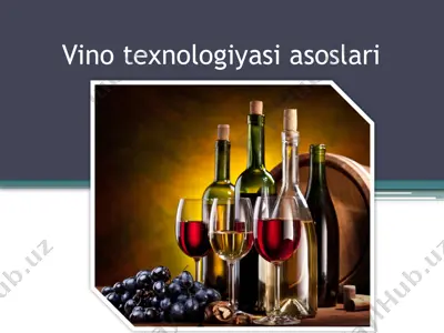 vino texnologiyasi asoslari — PPTX