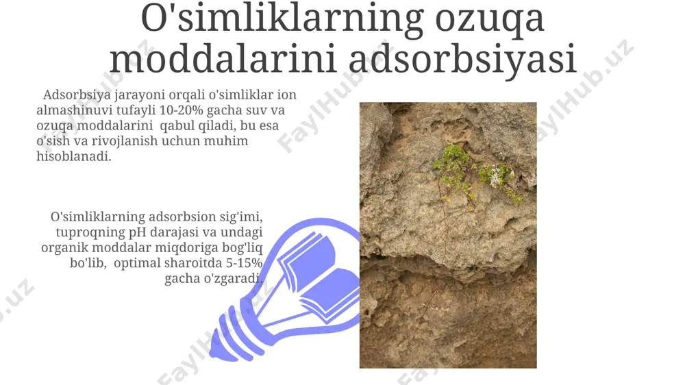 gacha bo'lgan zarrachalarni yuqori selektivlik bilan ajratib olish imkonini beradi. zamonaviy adsorbsiya texnologiyalari yuqori samarali materiallar, masalan, faollashtirilgan uglerod va zeolitlardan foydalanib, 90% gacha bo'lgan ifloslantiruvchi moddalarni olib tashlashga qodir. suvning tuproqda adsorbsiyasi tuproqdagi loy zarrachalarining yuqori sirt maydoni tufayli, ular suvni ancha yuqori darajada, taxminan 50 m²/g gacha adsorbsiya qila oladi, bu o'simliklar uchun muhim suv manbai hisoblanadi. suvning tuproqda adsorbsiyasi, tuproqning suvni ushlab turish qobiliyatini 10-30% ga oshirishi mumkin, bu o'simliklarning suv ta'minoti uchun juda muhimdir, ayniqsa qurigan davrlarda. tuproq tarkibida adsorbsiyaning roli 01 02 tuproqning 80% gacha bo'lgan qismini tashkil etuvchi mineral zarralar yuzasida ionlarning adsorbsiyasi tuproqning ion almashinuvi sig'imini belgilaydi, bu o'simliklarning ozuqa elementlarini olishini ta'minlaydi. sales 1st qtr 2nd qtr 100 0 sales 1st qtr 2nd qtr 100 0 o'simliklar ildiz tizimida adsorbsiya o'simlik ildizlaridagi adsorbsiya jarayoni tuproq eritmasidan 10-20% gacha bo'lgan suv va ozuqa moddalarining o'simlikka o'tishiga ta'sir qiladi, bu esa o'simlikning o'sishini va …