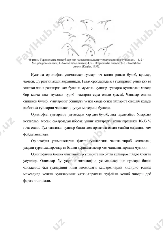 фрика ва жанубий еарбий австралияда чангловчилар сифатида сичконсимон халтали хайвонлар, кемирувчилар (сичцонлар, каламушлар, ерказарлар), лемурлар, опоссумлар ва бошкалар иштирок этишади. улар нафакат нектар билан, балки гулчанги ва хаттоки гул кисмлари билан хам озикланишади. улар узларининг жунларига чангларни ёпиштириб олиб, бир усимликнинг узидаги гуллар билан гейтоногамия усулидаги чангланишни ва иккинчи бир усимлик гуллари билан ксеногамия усулида чангланишларни амалга оширишлари мумкин (расм, а). гулларга асосан тана массаси 100 г атрофида булган сутэмизувчилар ташриф буюришади. улар нектардан кушимча озик сифатида фойдаланишади. баъзи бир сутэмизувчилар (масалан, австралияда опоссумлар) гул чангини хам истеъмол килишади. мадагаскар оролида мушуксимон лимур (lemur catta) кактус (cereus hildmannianus) ларнинг гулларини чанглантиради (расм, в). мирмекофилия (чумолилар ёрдамида чангланиш). чумолиларнинг усимликларни чанглатишдаги роли унчалик катта булмаса хам, улар турли усимлик гулларидан ширалар йигиб, наслинининг шакарга ва оксил моддаларга булган талабини кондиришда иштирок этишади. чумолилар жамоа булиб яшаб, жуда хам тажовузкор булишади. улар усимликка кунмокчи булган хар кандай хашаротга хужум килишади ва хашаротлар …