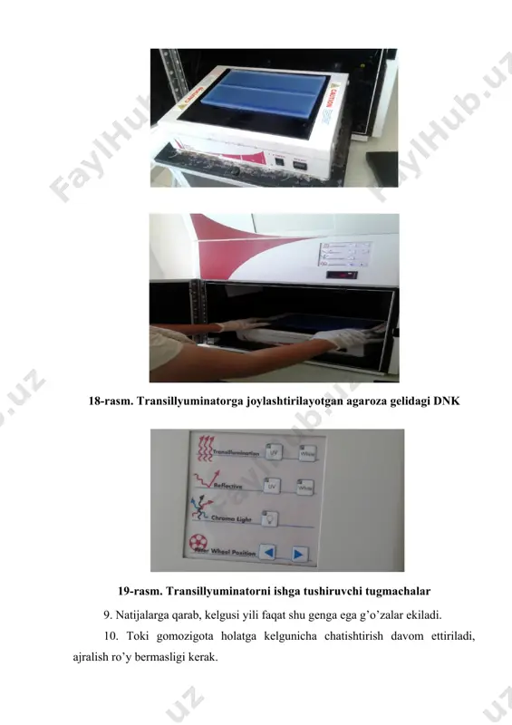 transillyuminator hamda gel-xujjatlashtiruvchi tizim (gel documentation system) - Page 3