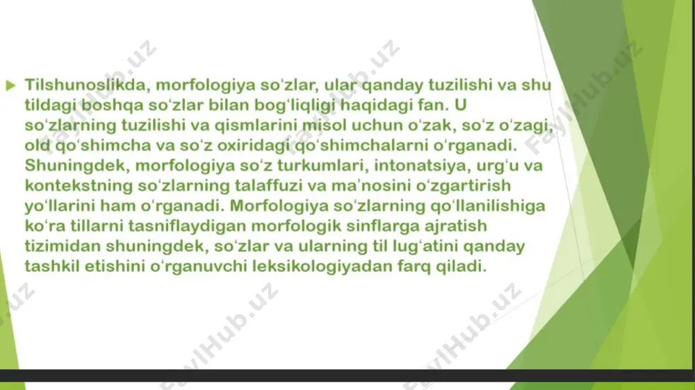 morfologik tahlil ppt - Page 5