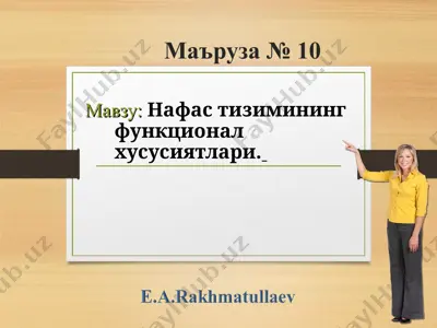 naafas tizimi funktsional xususiyatlari — PPT
