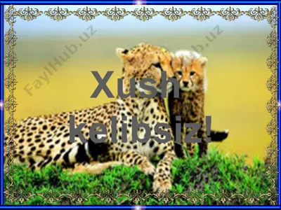 primatlar turkumi dars ishlanmasi — PPTX