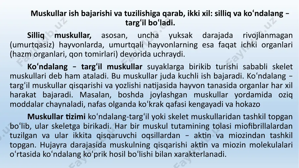 gichka ipdan echiladi va o‘ziga keyingi ipni biriktirib oladi. miozin va aktin filamentlari o‘rtasidagi ko‘prikcha muskullarning qisqarishini ta’minlovchi uzluksiz mexanizm sifatida xizmat qiladi. bu jarayon juda ko‘p energiya sarfini talab qilib, u adenozin uchfosfat molekulasi hisobidan ta’minlanadi. muskullarning qisqarish jarayonida kalsiy ionlari ham muhim rol o‘ynaydi. muskullarning tuzilishi tana muskullari – musculus katta – kichikligi va shakli qanday bo‘lishiga qaramay, muskul to‘qimalari yig‘indisidan hosil bo‘lgan. muskul to‘qimalari parallel tolalardan tuzilgan bo‘lib, har qaysi tola biriktiruvchi to‘qimalar bilan birikadi. muskul to‘qimalarining har qaysi to‘plami tashqi tomondan g‘ilof shaklidagi biriktiruvchi to‘qima pardasi bilan o‘ralgan bo‘ladi. bu parda tashqi perimiziy deyiladi. bu perimiziyda ozgina yog‘ tomchilari to‘plami ham bo‘ladi. tashqi perimiziy - perimysium externum dan muskul tolalarining ichiga parda o‘tib, u ichki perimiziy - perimysium internum shaklida tarqaladi. bu pardalar orqali muskul to‘qimalariga qon tomirlari va nervlar tarqaladi. ichki perimiziydan juda yupqa parda – endomiziy - endomysium tarqalib, u bevosita muskul tolalarining ichiga …