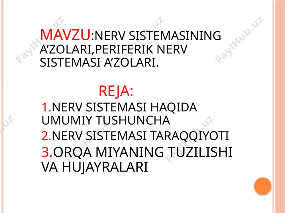 bu qavat glioblastlar va neyroblastlarni hosil qilsa, so`ngra faqat neyrogliya uchun manba bo`lib qoladi. asta-sekin ichki ependima hujayralari prizmatik shaklni olib, bosh miya qorinchalari va orqa miya kanalining ependima hujayralariga aylanadi. o’rta qavat neyroblastlar va ulardan shakllanuvchi neyronlar hamda birlamchi neyroglial asosni hosil qiluvchi hujayralardan iborat. shu qavat hisobiga orqa miyaning kulrang moddasi hosil bo`ladi. tashqi qavat – qirg`oq vuali (pardasi) neyroblast hujayralarini tutmaydi, bu qavatga ependima hamda o`rta qavat hujayralarining o`simtalari o`tib, orqa miya o`tkazuvchi yo`llarining shakllanishida ishtirok etadi. neyroblastlar differentsirovkasining ilk belgisi – ularning sitoplazmasida ingichka neyrofilamentlar va mikronaychalardan tarkib topgan neyrofibrillalar hosil bo`lishidir. yadro va sitoplazmaning submikroskopik tuzilishi ham o`zgaradi: neyroblast sitoplazmasida erkin ribosomalarning miqdori kamayadi, endoplazmatik to`r kanalchalari va golji kompleksi paydo bo`ladi va takomillashdi. yadroda turli elektron zichlikdagi donalar va iplar hosil bo`ladi. natijada, neyroblastlar yetuk neyronlarga aylanadi.neyroblastlardan hosil bo`luvchi neyronlar bo`linish qobiliyatiga ega emas. shu tufayli ularda fiziologik regeneratsiya jarayoni hujayra sitoplazmasidagi organellalar va …