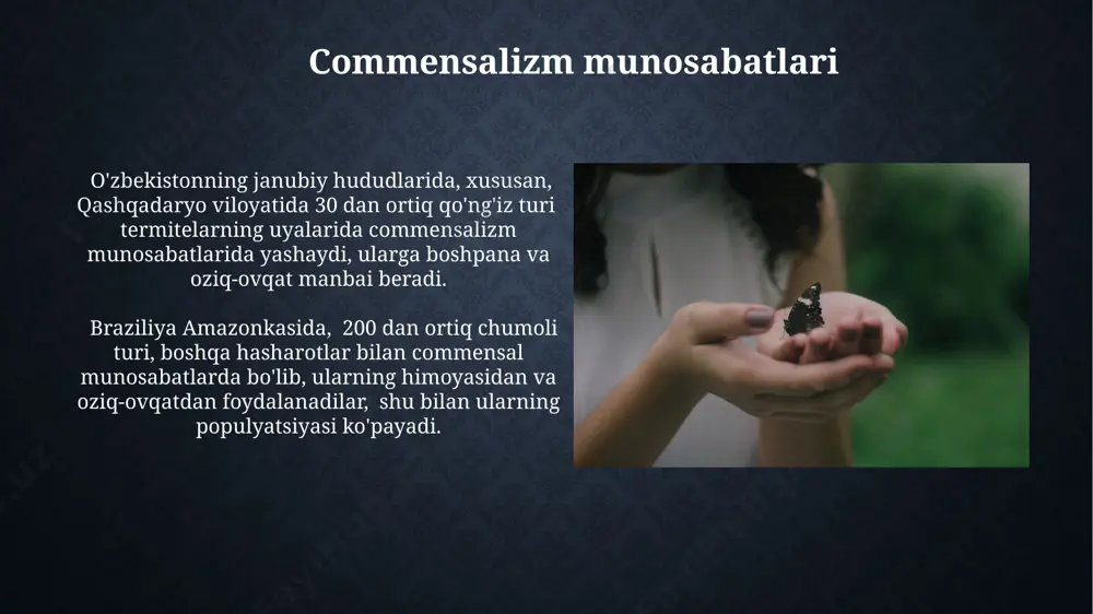 hashoratlarning biotsenotik skillar - Page 5