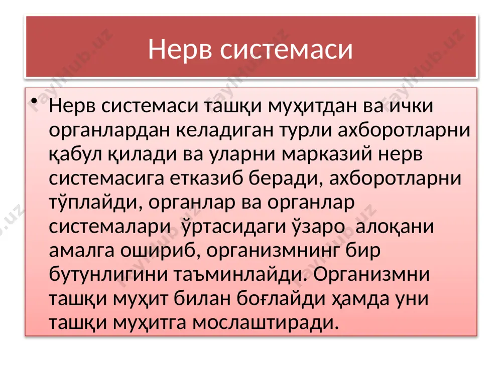 темаси ҳомиланинг ташқи қаватидан –эктодермадан ривожланади. эмбрионал даврининг дастлабки даврида у найсимон шаклга эга бўлиб,унинг олдинги қисмидан бош мия ривожланади. нерв системаси одам организмининг энг тез ривожланадиган қисми ҳисобланади. янги туғилга чақалоқнинг мия тузилиши амалий жиҳатдан катта одамнинг миясига тузилиш жиҳатдан ўхшаш бўлади. нейронларн нг асосий қисми ҳомиланинг 20-24 хавфталигида шаклланиб етук ёшигача сақланиб қолади. кейинчаликфақат нейронларнинг ўзаро боғларининг сони ортади. янги туғилган чақалоқнинг бош мияси тана масасининг 1/8 қисминин ташкил этади. унинг вазни 340-400г ни ташкил этади. катта одамда 1/40 нисбатда бўлади. одам бош миясининг ривожланиши дастлабки икки йилида интенсив ривожланади,кейинчалик ривожланиш темпи камаяди, лекин,ривожланиш 7 ёшгача юқори бўлади миянинг тўлиқ ривожланиши 21 ёшгача давом этади. бу вақтда оғирлиги чақалоқникига нисбатан 4-5 баробарига ортиб ўртача 1300-1400 ни ташкил этади. 1-2 ёшида бош мия орқа мияга нисбатан тез ўсади, сўнг орқа миянинг ўсиши кузатилади. бош миянинг соп ва оралиқ қисмининг тўлиқ шаклланиши гормонал ривожланиши тугалланган даврига яъни 13-16 ёшига тўғри …