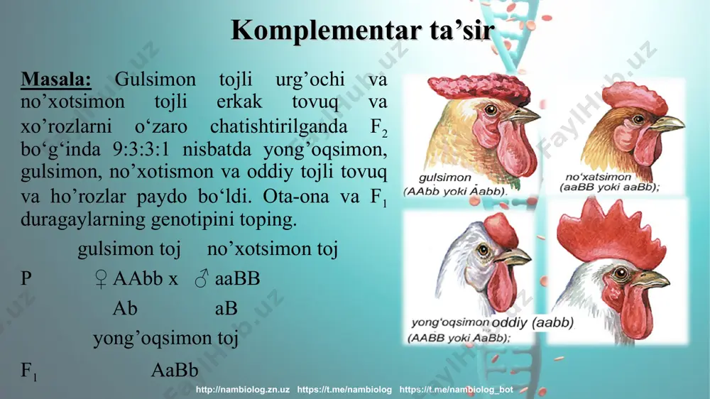 "noallel genlarning o`zaro ta`siri" mavzusidagi televizion dars - Page 5