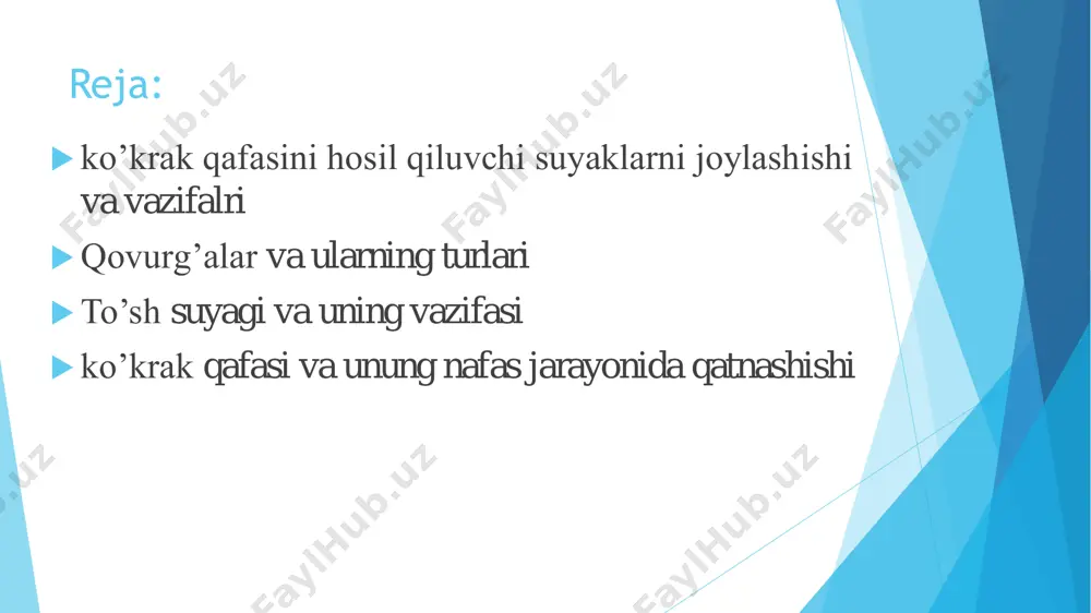 qori va pastki cheti bo`ladi. 1-, 11-, 12-juft qovurg`alar ko`krak umurtqalari tanasiga to`liq birlashadi. shuning uchun ularning boshida qirra bo`lmaydi. 1-juft qovurg`aning yuqori yuzasini tog`ayga nisbatan ketma-ket joylashgan tuzilmalari:  1) sulcus vena subclavia ---o`mrov osti venasining egati  2) tuberculum musculus scalenus anterior --- oldingi narvonsimon mushak do`mbog`i  3) sulcus arteria subclavia --- o`mrov osti arteriyasining egati  har bir qovurg‘a boshchasi bo‘lib, unda ko‘krak umurtqalari tanasidagi qovurg‘a chuqurchasi bilan bo‘g‘im hosil qiladigan qovurg‘a boshchasining bo‘g‘im yuza si bor. ii–x qovurg‘alarning boshchasi ikkita qo‘shni umurtqalar bilan birikkani uchun bo‘g‘im yuzasini qovurg‘a boshchasining qirrasi ikkiga ajratib turadi. bu qirradan qovurg‘a boshchasini ko‘krak umurtqasiga mustahkamlovchi boylam boshlanadi. i, xi, xii qovurg‘a boshchalari faqat bitta umurt qa bilan birikkani uchun ularda bu qirra bo‘lmaydi. boshchadan keyin toraygan qovurg‘a bo‘yinchasi, uning yuqori chekkasida qovurg‘a bo‘yinchasining qirrasi bor. bo‘yinchaning tanaga o‘tish joyida qovurg‘a do‘mboqchasi bo‘lib, uning bo‘g‘im yuzasi umurtqaning ko‘ndalang o‘siqchasidagi qovurg‘a chuqurchasi …