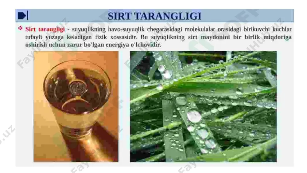 sirt tarangligi - Page 3