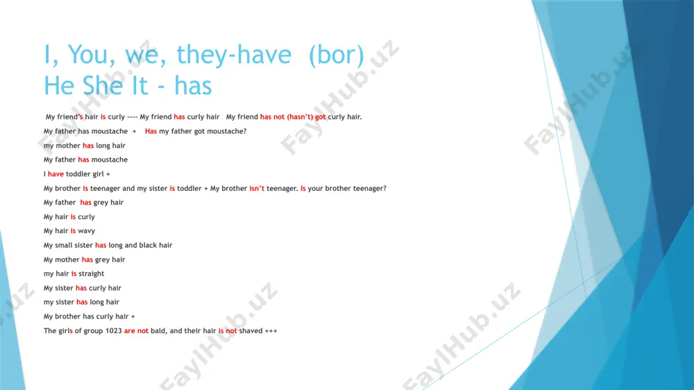 english grammar practice book - Page 4