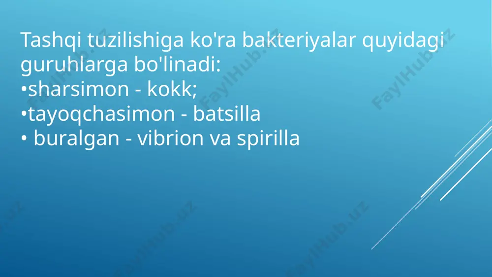 bakteriyalar dunyosi - Page 4