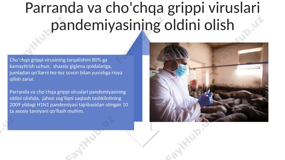 parranda va cho‘chqa viruslari - Page 4