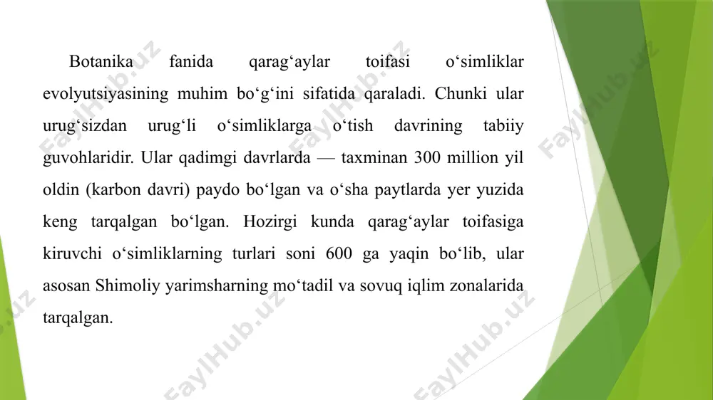 zasining kichikligi, kutikulasi va stomalarining chuqur joylashuvi o‘simlikni suvni tejashga, issiqqa va sovuqqa bardosh berishga moslashtiradi. barglar yengil shovqin chiqaradi, changni o‘ziga tortadi va ko‘plab fitonsid moddalar ajratadi. shu tufayli qarag‘ayzor hududlar ekologik toza, sog‘lom muhit yaratadi. qarag‘ay toifa o‘simliklar — pinophyta, ya’ni ochiq urug‘lilar bo‘limining asosiy vakillari bo‘lib, ular sistematik jihatdan ko‘p yillik, ignabargli, baland bo‘ylidaraxtsimon o‘simliklar sifatida tan olinadi. ularning sistematikasi o‘simliklarning morfologik tuzilishi, ko‘payish shakli, shishaklar tuzilmasi, barglari, yog‘och to‘qimasi va molekulyar biologik ko‘rsatkichlariga asoslangan holda yaratilgan. botanika fanida qarag‘aylar turkumlari va oilalari doimiy yangilanib boradi. zamonaviy molekulyar filogenetika va genetik tadqiqotlar asosida ularning joylashuvi aniqlashtirilmoqda. klassik sistematikaga ko‘ra, ular quyidagicha tasniflanadi: sistematik joylashuvi bo‘lim: pinophyta – qarag‘aysimonlar bo‘limi sinf: pinopsida – qarag‘aysimonlar sinfi tartib: pinales – qarag‘aysimonlar tartibi oila: pinaceae – qarag‘aydoshlar oilasi pinaceae oilasi ichida bir nechta muhim urug‘lar mavjud: pinus – qarag‘aylar abies – kavraklar picea – archa (sibir archasi va boshqalar) cedrus – …