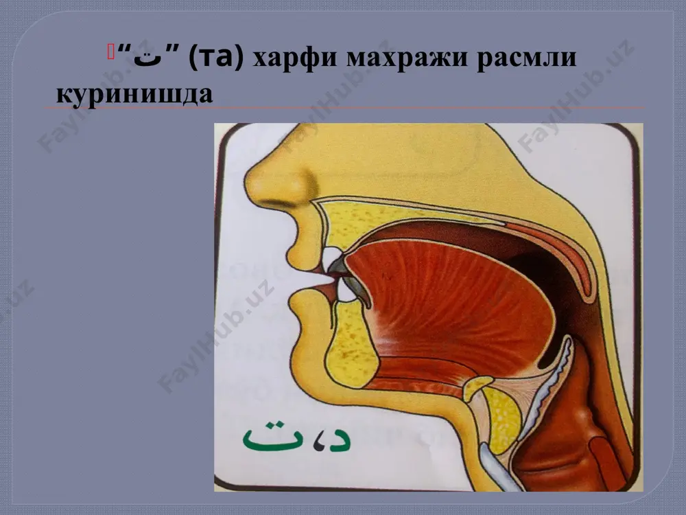 қуръони карим ва тажвид ўқув курси - Page 3