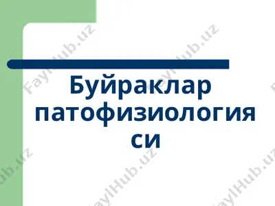 буйракларпатофизиологияси — PPTX
