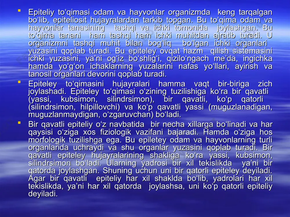 odamda va sut emizuvchi hayvonlarda uchraydigan bir qatorli yassi epiteleyning boshqa epiteleylaridan farqi uning aksariyati tashqi muhit bilan bog‘liq bо‘lmagan organlar yuzasini qoplab turishidadir. bir qavatli epiteley (mezoteley)ni tashkil etuvchi hujayralar sut emizuvchi hayvonlarda va odamda odatda yassi tuzilgan bо‘lib, gistologik preparatlarda yuqori tomondan yaxshi kо‘rinadi. hujayralarining bо‘yi juda past, yuqoridan kо‘rinishi yumaloq yoki ovalsimon bо‘lishiga qaramay chetlari notekis, uzun-qisqa о‘simtalar hosil bо‘lgan bо‘ladi. ayrim ichki organlar ya’ni jigar, taloq, tuxumdon ustini qoplab turuvchi mezoteley hujayralari kubsimon shaklida bо‘lishi mumkin. mezoteley hujayralari kumush tuzini singdirish xususiyatiga ega. shu sababli mazkur buyoq bilan yaxshi bо‘yaladi. kumush tuzi bilan bо‘yalgan mezoteley xujayralarining о‘zi va uning chetlari gistologik preparatda yaxshi kо‘rinadi va yon atrofdagi hujayralardan aniq ajralib turadi. kо‘ndalang kesilgan preparatlarda mezoteley hujayralari ostida bir yо‘nalishda joylashgan bazal membrana yaxshi kо‘rinib turadi. hujayra, odatda, bitta lekin ayrim vaqtlarda 2-3 ta yadroli bо‘lishi mumkin. hujayraning yadro joylashgan joyi balandroq bо‘ladi. vorsinalarning soni ichak epiteleysi …