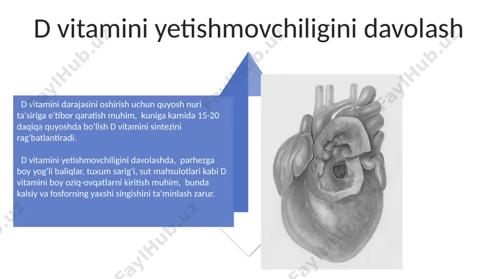 nligi va o'lchamlari o'zgaradi, chap qorincha hajmi kamayadi (remodelling), natijada diastolik disfunksiya rivojlanadi. yurak mushagining infarkt zonasida 30% dan ortiq nekrozga uchrashi miokardning mexanik kuchini sezilarli darajada pasaytiradi va qon aylanishining buzilishiga olib keladi. postinfarkt kordioskleroz va surunkali v gepatitning o'zaro ta'siri postinfarkt kordioskleroz bilan surunkali v gepatitning birgalikda mavjudligi yurak etishmovchiligiga olib kelish xavfini 2-3 baravar oshirishi mumkin, bu esa bemorlarning oʻlimiga sabab boʻladi. surunkali v gepatitli bemorlarda postinfarkt kordiosklerozning rivojlanish xavfi yuqori boʻlib, fibrozlashish darajasining oshishi va yurak mushaklarining disfunksiyasi kuzatiladi. surunkali v gepatitning klinik ko'rinishlari surunkali v gepatitning 20% dan ortiq holatlarida bemorlarda asteniya, charchoq, mushak og'rig'i kabi nonspesifik alomatlar kuzatiladi, bu esa tashxisni qiyinlashtiradi. surunkali v gepatitning rivojlangan bosqichlarida, fibrozning 3-4 darajasi bilan, portali gipertenziya belgilarini: oshqozon-ichak qon ketishi, asit va ensefalopatiya namoyon bo'lishi mumkin. v gepatitning patogenezi va patofiziologiyasi virusning jigar sirrozi va jigar karsinomasiga olib kelishi, asosan, virusning to'g'ridan-to'g'ri sitotoksik ta'siri, immunologik vositalar va …