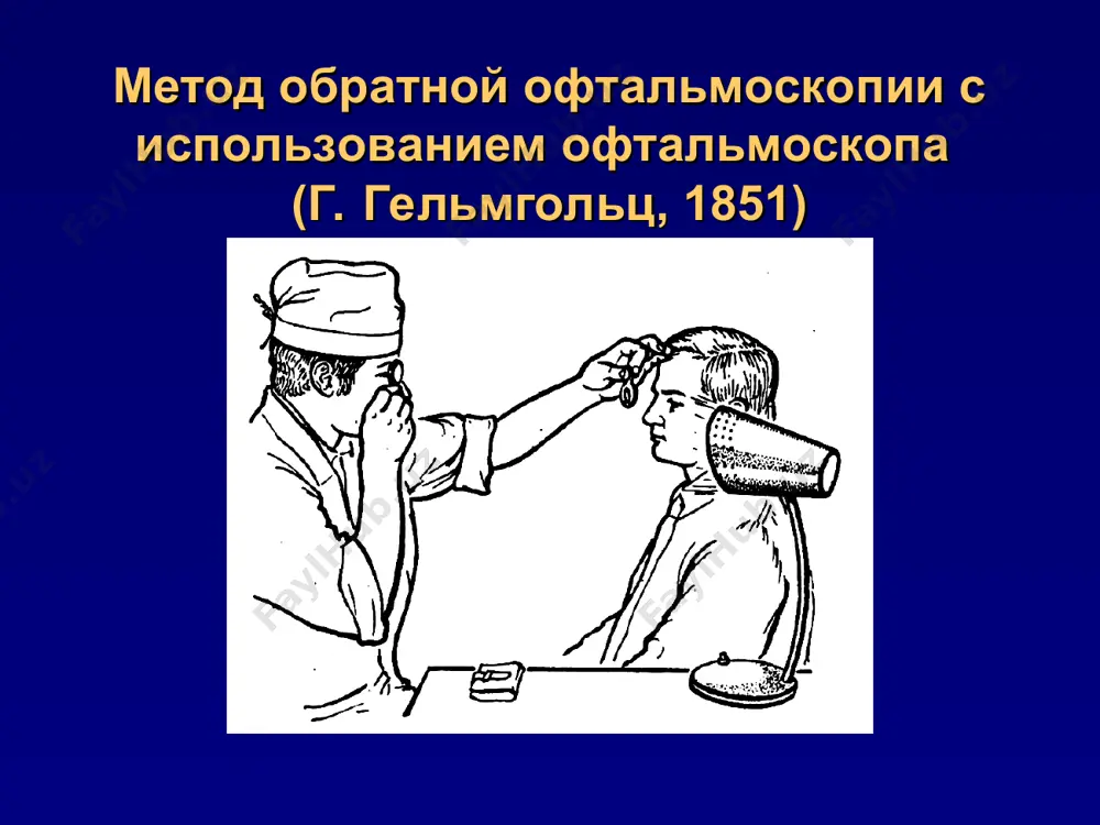 ра супрахориоидальное пространство склера роговица вена шлеммов канал трабекула задняя камера * преломляющая среда глаза: сила преломления: в покое 19 d при аккомодации до 33 d хрусталик * хрусталик передняя капсула цинновы связки волокна хрусталика эпителий строение. передняя капсула задняя капсула ядро ядро ядро задняя капсула передняя капсула эпителий передняя капсула * состав: вода 62%. растворимые белки 18% нерастворимые белки 17% неорганические соединения: витамины, холестерин, ферменты, микроэлементы (k, na, ca, s, zn, ag, cl) хрусталик * стекловидное тело расположено между сетчаткой, хрусталиком и цилиарным телом. объём ~ 4 мл. обеспечивает стабильность формы глазного яблока защищает сетчатку, хрусталик, цилиарное тело. * стекловидное тело общее строение зрительного анализатора воспринимающая часть (глазное яблоко) проводящие пути (зрительный нерв, хиазма, зрительный тракт) подкорковые центры зрительные центры в коре больших полушарий * вспомогательные органы глаза конъюнктива веки мышцы глазного яблока слезный аппарат орбита * орбита спереди веки модифицированная складка кожи. защита глазного яблока от внешних воздействий. …