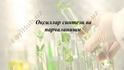 оқсиллар синтези ва парчаланиши — PPT