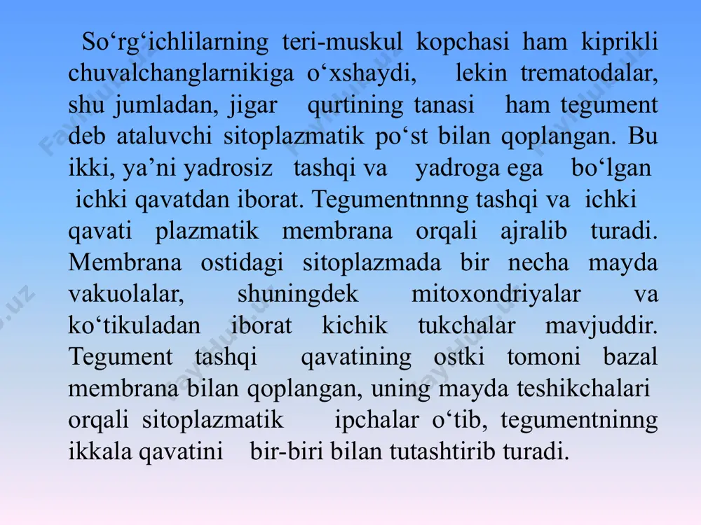 di. bular solityorning ovqatlanishida muhim ahamiyatga egadir, chunki ular tananing ovqat so‘ruvchi yuzasini kengaytiradi va ingichka ichakdagi tayyor ozuqalarini shimib olishda muhim vazifalarni bajaradi. qon aylanish va nafas olish sistemasi bo‘lmaydi. hamma tasmasimon chuvalchanglar oziqlanish jarayonida ularning tanasida korbonsuv-gilikogen to‘planadi. keyin uning fermentlar ta'sirida parchalanishida korbonad angidrit, vodorod va moy kislotalari (sut va valerian kislotalari) hosil bo‘ladi. ana shu jarayonda ajraladigan energiyadan foydalanib solityorlar anaerob usulda nafas oladi. ayiruv organlar sistemasi protonefridial tarzda tuzilgan bo‘lib, parenximadagi kiprikli (terminal) hujayralardan mayda naychalar boshlanadi. asosan ikkita ayiruv kanali bor. ligulyoz bu baliqlarning sestodoz kasalligi bo‘lib, uni diphyllobhotridae oilasiga mansub ligula intestinalis sestodasining invazion lichinkasi – pleroserkoidni baliqlarning, asosan karp turdagi baliqlarning qorin bo‘shlig‘ida parazitlik qilishi tufayli qo‘zg‘atilib, kasallik ichki organlarning atrofiyasi, pushtsizlik, ayrim paytlarda esa qorin devorining yorilishi va baliqlarning nobud bo‘lishi bilan xarakterlanadi. qo‘zg‘atuvchining jinsiy voyaga yetgan shakli turli baliqxo‘r parrandalarning ichaklarida parazitlik qiladi. qo‘zg‘atuvchisi pleroserkoidlar – bu oq yoki oq-sarg‘ich …
