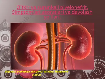 pielonefrit — PPTX