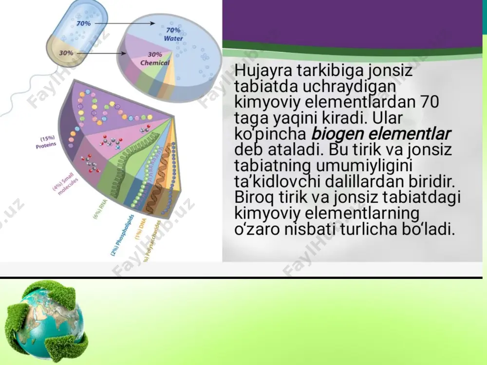 bilan ifoda etiladi. hujayraning hayotiy sikli. ona hujayraning bo‘linib ko‘payishidan hosil bo‘lgan hujayraning bo‘linib ko‘payishi yoki nobud bo‘lgunigacha bo‘lgan davr hayotiy sikl (hujayra sikli) deyiladi. hujayra hayotiy sikli bir nechta davrlardan iborat bo‘linish davri. bunda hujayraning bo‘linishi sodir bo‘ladi. o‘sish davri. hujayra bo‘linib ko‘paygach, ma’lum o‘lchamlarga qadar hajmi ortadi, o‘sa boshlaydi. diff erensiatsiyalanish (ixtisoslashish) davri. bu davrda hujayra ma’lum tuzilish va funksional xususiyatlarga ega bo‘ladi. yetuklik davri. hujayra ixtisosligiga mos holda u yoki bu funksiyani bajaradi. qarish davri. bu davr hujayra hayotiy funksiyalarining pasayishi bilan ifodalanadi, hujayraning bo‘linishi yoki nobud bo‘lishi bilan yakunlanadi. hujayralar bo‘linishining ikkita usuli bor: mitoz va meyoz. mitoz – eukariot hujayralarning bo‘linishi jarayoni bo‘lib, uning natijasida dastlab irsiy material ikki hissa ortadi, so‘ngra qiz hujayralar o‘rtasida teng taqsimlanadi. mitoz sikli – hujayraning bo‘linishga tayyorgarlik – interfaza va mitoz bo‘linish jarayonlarining o‘zaro bog‘langan va ketma-ket keladigan hodisalar majmuasi. metafaza(meta – keyin)da xromatidalar zichlashib, yo‘g‘onlashib, hujayra markazi bo‘ylab …