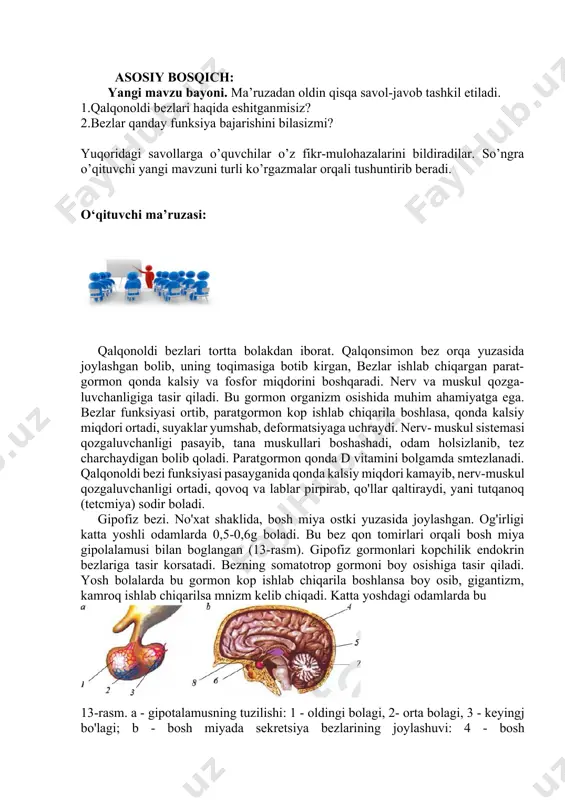 ekretsiya bezlarini ularning organizmda joylashgan o�rni bilan birga juftlab yozing: a - qalqonsimon bez, в - qalqonoldi bezlari, d - gipofiz, e - epifiz, f - ayrisimon bez, h - buyrakusti bezlari; 1 - o‘ng va chap buyrak ustida, 2 - qalqonsimon bez orqa yuzasida, 3 - bosh miya ostki yuzasida, 4 - o‘rta miyada, 5 - to‘sh suyagining orqa yuzasida, 6 - bo‘ymning oldingi qismida. 2)sekretsiya bezlari va ular ishlab chiqaradigan gormonlami juftlab yozing: a - qalqonsimon bez, в - qalqonoldi bezi, d - gipofiz, e - epifiz, f - ayrisimon, h - buyrakusti; 1 - paratgormon, 2 - somatotrop, gonadotrop, 3 - melatonin, 4 - tiroksm, 5 - androgen, estrogen, 6 - timozin. 3)gormonlarni ularga mos keladigan xususiyadar bilan birga juftlab yozing: a - tiroksin, в - adrenalin, d - androgen, e - paratgormon, f - estrogen; 1 - qonda kalsiy va fosfor miqdorini boshqaradi, 2 jinsiy bezlar …