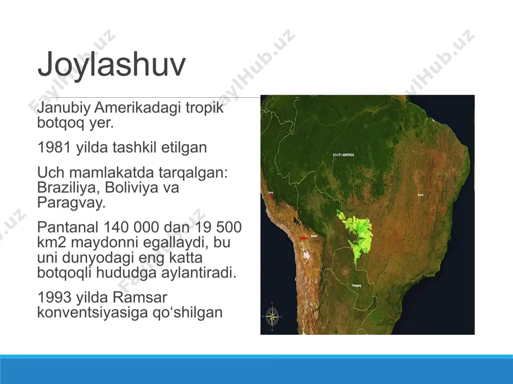pantanal ekotizimining eng muhim yirtqichlaridan biri hisoblanadi va asosan kaymanlar, kapibaralar bilan oziqlanadi. botqoq bugʻusi (blastocerus dichotomus): bu yerning eng yirik bugʻu turi boʻlib, u asosan suvli oʻtlar bilan oziqlanadi. ular suv toʻla botqoq yerlarda yashashga moslashgan. pantanal tekisligining 80% dan ortig'i yomg'irli mavsumda suv ostida qoladi. bu yerda dunyodagi eng boy suv florasi va 12 dan ortiq turli xil suv ekotizimlari joylashgan. amazon tropik o'rmoni yaqin joyda joylashgan bo'lib, suv havzasini soya qiladi va yovvoyi tabiat uchun muhim ekologik bo'shliqlarni yaratadi. suv rejimi suv toshqinlari noyabrdan martgacha sodir bo'ladi pantanal dengiz sathidan 80 – 150 m balandlikda joylashgan yomg'irli mavsumda suv sathi 1-1,5 m ga ko'tariladi, paragvay daryosida esa 5 metrgacha ko'tariladi. suv oqimi sekin, sekundiga 2-10 sm, chunki tomchi kichik va o'simliklar oldini oladi suv ko'tarilib, quruq tuproqni qoplaganida, u kislorodsiz bo'lib qoladi va baliq hayoti uchun yaroqsiz bo'ladi. klõpsake juhtslaidi teksti laadide redigeerimiseks teine tase kolmas tase …