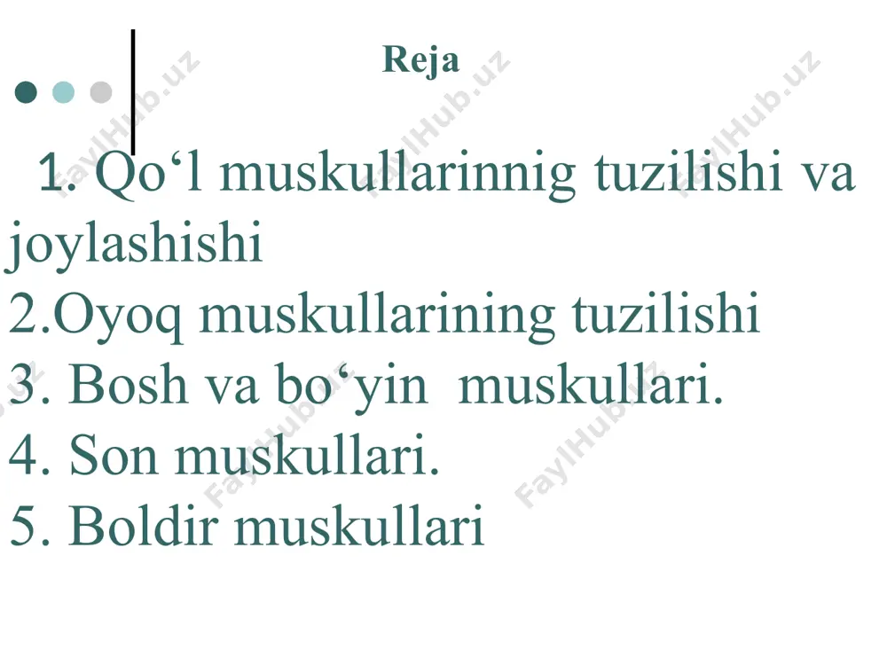 rior) bosh va bo‘yinning tasma muskuli dumg‘aza-o‘tkir o‘simta muskuli (m. sacro-spinalie) dumg‘aza - o‘tkir o‘simta muskuli gavdani rostlab turadi q o v u r g‘ a l a r a r o m u s k u l l a r (m.m. intercostales) qovurg‘alar orasida ikki qavat bo‘lib joylashgan. t a sh q i q o v u r g‘ a l a r a r o m u s k u l l a r (m.m. intercostales externi) ning tolasi yuqoridan past­ga va oldinga yo‘nalgan bo‘ladi. bu muskullar umurtqa pog‘onasidan qovurg‘a tog‘ayigacha joylashgan. u qisqarganda qovurg‘alarni ko‘tarib, na­fas olishda ishtiroq etadi. i ch k i q o v u r g‘ a l a r a r o m u s k u l l a r (m. m. intercostales interni) ning tolasi pastdan yuqoriga va oldinga yo‘nalgan bo‘ladi. ichki qovurg‘alararo muskullar to‘sh suyagidan qovurga burchagigacha joylashgan. u qisqarganda …