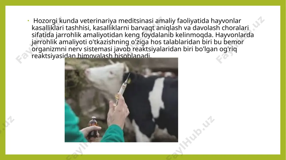 i midazolam tomir ichiga yuboriladi (fentanil/fluanizon tomirlarning kengayishiga olib keladi, shuning uchun tomir ichiga kirish osonroq bo'ladi) hayvonlarda jarrohlik amaliyotlari soni ortib borgani sayin bemor hayvon organizmini og'riqdan himoyalash maqsadida hozirda og'riqsizlantirishning bir qancha usullari ishlab chiqilib, maqsadiga va hayvon turiga, o'tkaziladigan operatsiya jarayoniga holda amalga oshiriladi. og'riqsizlantirish qao'llashning nafaqat hayvon organizmiga qulaylik olib kelishi operatsiya o'tkazadigan jarrohlar uchun ham muhim omil hisoblanadi. operatsiya jarayioning mihim jihatlaridan hisoblangan og'riqsizlantirish yoki behushlik jarrohlik amaliyotini tinch, sifatli va a'lo darajada o'tishini ta'minlaydi. o'z navbatida hayvonlarda og'niqsizlantirish haqida qisqacha hayvonlarni harakatlantirishning yana boshqa yo’llari ularda anesteziya va narkoz o’tkazish hisoblanadi. anesteziya bu mahalliy og’riqsizlantirish. mahalliy og’riqsizlantirish uchun norka, tulki, shihayvon tulkisiga novakain 0,25-2%gacha 0,04 g kg tirik vazni hisobiga qo’llaniladi. yovvoyi va mo’ynali hayvonlarda fiksasiya yoki davolash maqsadida narkoz o’tkaziladi. nakoz ingalyasiya, og’iz orqali, to’g’ri ichak, shilliq pardalarga, muskul orasiga, qorin bo’shlig’iga, vena qon tomiriga yuboriladi. hayvonlarga umumiy narkozdan xloralgidrat, aminazin, mepazin, tiopental. …