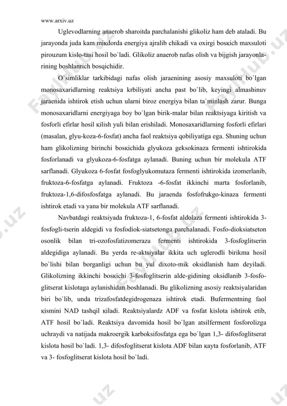 ylanishidan boshlanadi. bu glikolizning aso​siy reaktsiyalaridan biri bo`lib, unda trizafosfatdegidrogenaza ishtirok etadi. bufermentning faol қismini nad tashqil қiladi. reaktsiyalardz adf va fosfat kislota ishtirok etib, atf hosil bo`ladi. reaktsiya davomida hosil bo`lgan atsilferment fosforolizga uchraydi va natijada makroergik karboksifosfatga ega bo`lgan 1,3- difosfoglitserat kislota hosil bo`ladi. 1,3- difosfoglitserat kislota adf bilan қayta fosforlanib, atf va 3- fosfoglitserat kislota hosil bo`ladi. glikolizning oxirgi bosk,ichida 3-fosfoglitserat kislota fosfo-glitseramutaza fermenti ishtirokida izomerlanib, 2-fosfoglitserat kislotaga aylanadi va u bir molekula suvni ajratib, fosfopiruvat kislotaning yenol shakliga aylanadi. bu reaktsiyada yenolaza fermenti ishtirok etadi. fosfoenolpiruvat uz navbatida, piruvatkinaza fer​menti ishtirokida adf bilan reaktsiyaga kirishib, atf hosil bo`ladi. yenolpiruvat kislota pirouzum kislotaga aylanadi: natijada nafas olishning boshlangich anaerob bosqichi pirouzum kis​lotaning hosil bo`lishi bilan tugaydi. bir molekula glkjozaning oksidla-nishi natijasida ikki molekula pirouzum kislota hosil bo`ladi. bu reaktsiyalar natijasida energiyaga boy bo`lgan birikmalar: 4 mo​lekula atf va 2 molekula kaytarilgan nad.n, hosil bo`ladi. nad va nad.n2 …
