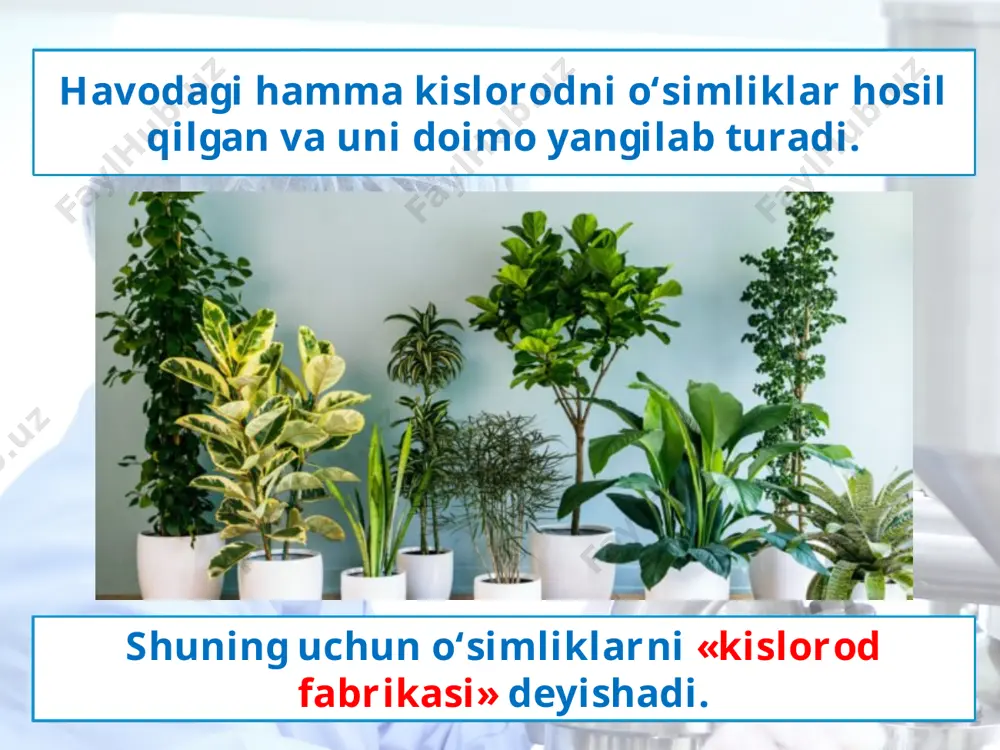 organizmlarning yer qobiqlariga ta’siri 5 -sinf - Page 3