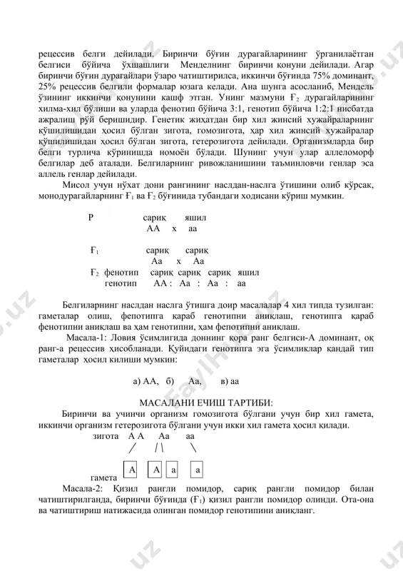отипни фарқ қилиш зарур. ирсият қонунларининг яратилишида г.мендел асос солган дурагайлаш методи катта аҳамятга эга. бу метод ўзининг самарадорлиги туфайли барча генетикага оид илмий-тадқиқот ишларида кенг кўлланилиб келинмокда. дурагайлаш методининг моҳияти қуйидагилардан иборат: тажриба учун ота-она ўсимликлари сифатида ўрганилаётган белгилари бўйича ирсий тоза (гомозиготали) ҳамда ўзаро кескин фарқ киладиган (альтернатив) навлар олинади. масалан, нўхатнинг гули қизил-ок, уруғи сариқ-яшил рангда, уруғ шакли текис буришган бўлади ва хокозо. улар ўзаро чатиштирилиб олинган дурагай ўсимликларида ота-она белгиларининг ирсийланиши бир неча авлод давомида ўрганилади. монодурагай чатиштириш натижасида биринчи бўғинда устун чиққан белги доминант, яширинган белги рецессив белги дейилади. биринчи бўғин дурагайларининг ўрганилаётган белгиси бўйича ўхшашлиги менделнинг биринчи қонуни дейилади. агар биринчи бўғин дурагайлари ўзаро чатиштирилса, иккинчи бўғинда 75% доминант, 25% рецессив белгили формалар юзага келади. ана шунга асосланиб, мендель ўзининг иккинчи қонунини кашф этган. унинг мазмуни ғ2 дурагайларининг хилма-хил бўлиши ва уларда фенотип бўйича 3:1, генотип бўйича 1:2:1 нисбатда ажралиш рўй беришидир. генетик жиҳатдан …