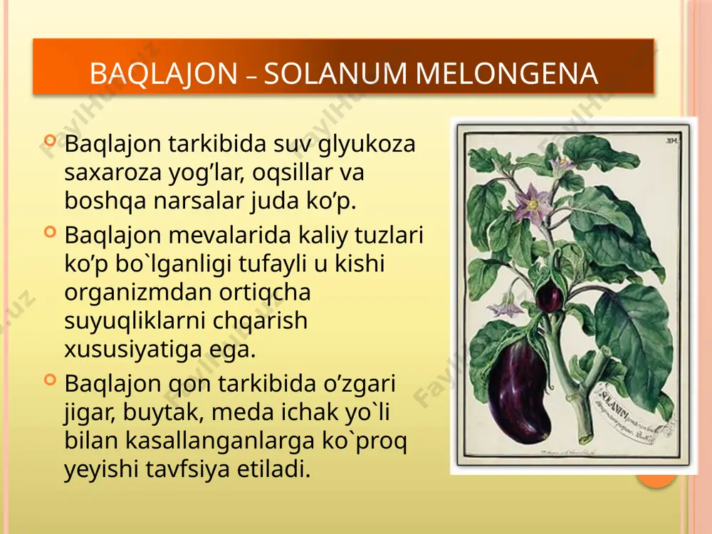 ituzumdoshlar oilasining gul tuzulishi - Page 4
