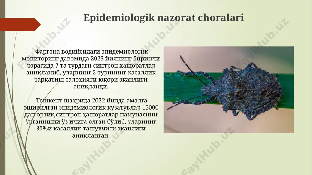 ng ekologiyasi samarqand viloyatida o'tkazilgan tadqiqotlar, 5 turdagi uy sharoitidagi chivinlarning 2 turi salmonella bakteriyalarining tashuvchisi ekanligini aniqladi, bu esa ichak infektsiyalari xavfini keltirib chiqaradi. toshkent shahrida, 2020-yilgi kuzatuvlarga ko'ra, uy sharoitidagi hamamböceği populyatsiyasi 30% ga oshgan bo'lib, bu oziq-ovqat mahsulotlarining ifloslanishi va allergik reaksiyalar xavfini oshiradi. sinantropik hasharotlarga qarshi kurash usullari samarqand viloyatida o'tkazilgan tadqiqotlar, 1000 ta uyni tekshirish natijasida, chivinlarning ko'payishini oldini olishda, suv omborlarini tozalash va larva tuxumlarini yo'q qilish 80% samaradorlik berganligini ko'rsatdi. farg'ona vodiysida, 2022-yilgi ma'lumotlarga ko'ra, tarakanlarga qarshi kurashda gel shaklidagi insektitsidlarning qo'llanilishi, klassik usullar bilan solishtirganda, 35% ko'proq samarali ekanligi aniqlandi. parazitar infeksiyalarni yuqtirishda sinantropik hasharotlarning roli toshkent shahrida olib borilgan tadqiqotlar shuni ko'rsatdiki, 2000 dan ortiq uy chumolilarida (monomorium pharaonis) turli xil parazit tuxumlarining mavjudligi aniqlangan, bu ularning parazitar infektsiyalarni tarqalishidagi rolini tasdiqlaydi. anopheles turkumiga mansub sinantropik pashshalar, xususan, janubiy osiyoda, shu jumladan, tojikistonning ba'zi hududlarida 5 million dan ortiq odamni malyariya …