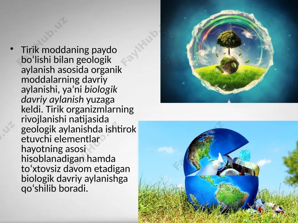 biosferada modda va energiyaning davriy aylanishi. 11 - sinf - Page 5