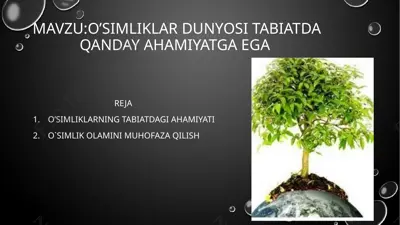 o’simliklar ekologiyasi — PPTX