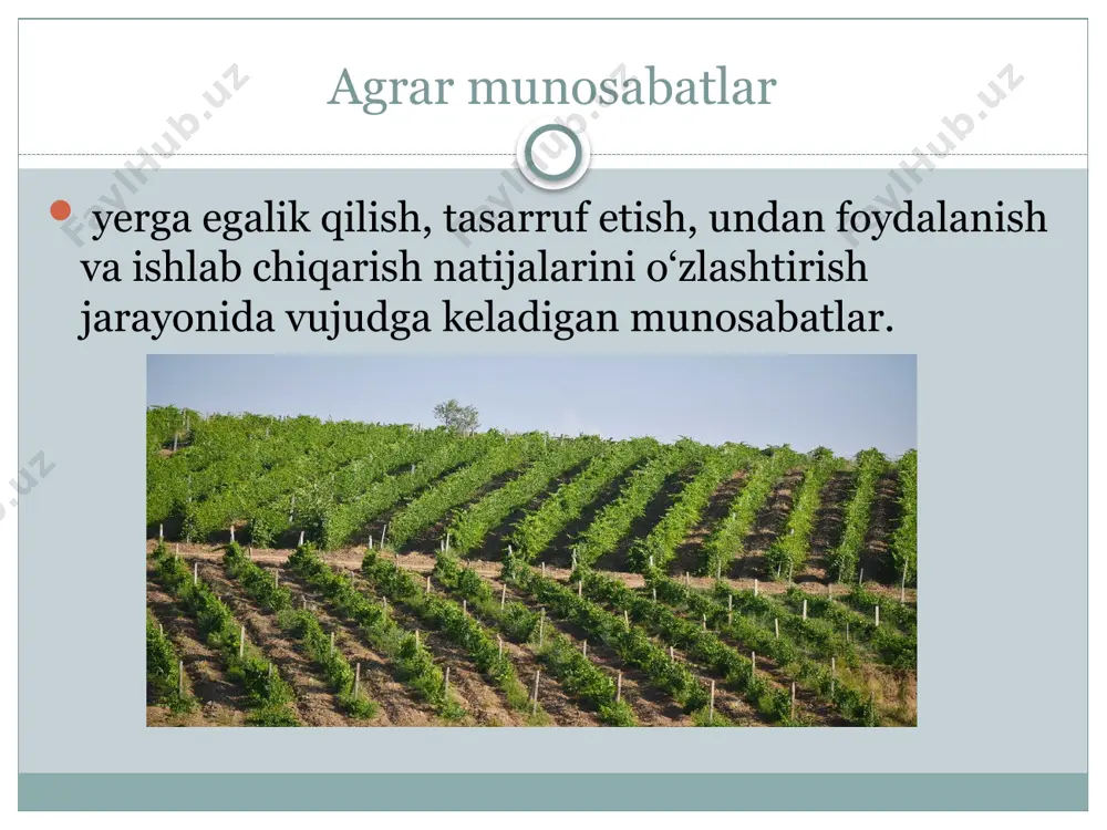 agrar munosabatlar va qishloq xo‘jalik - Page 2