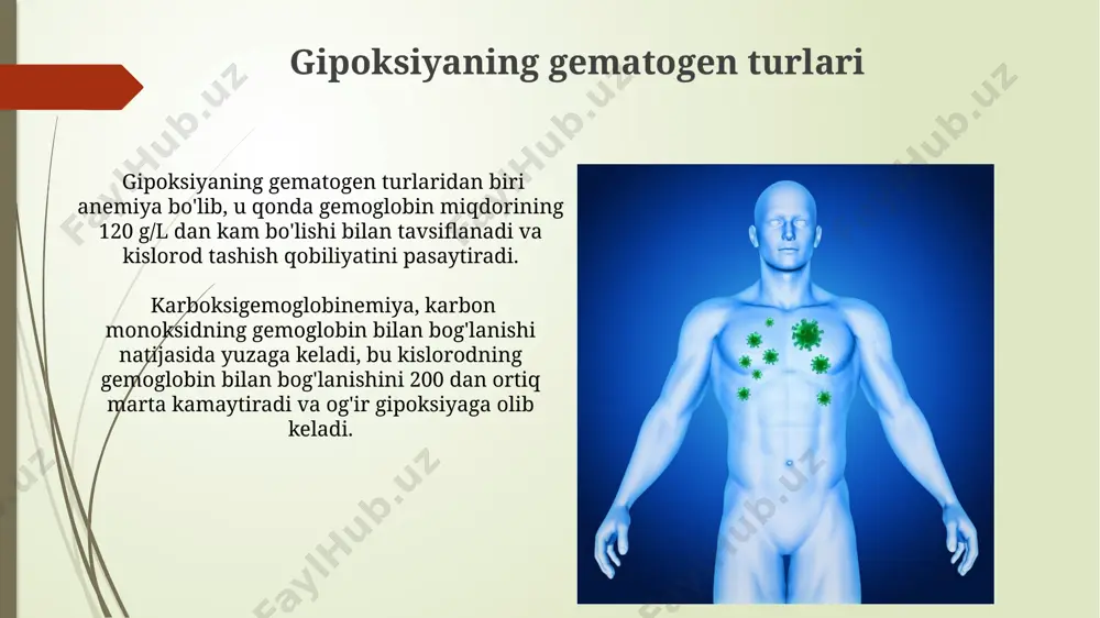 ha 3 dan 10% gacha neyronlarning halok bo'lishiga olib keladi. oldini olish choralari nafas olish choralarining 1-turi, kussmaul nafas olishi, diabet ketoatsidozi kabi holatlarda kuzatiladi va chuqur, tez nafas olish bilan tavsiflanadi, daqiqali havo hajmi 40 litrdan oshadi. biot nafas olishi, miya jarohatlari natijasida yuzaga keladi va chuqur va to'liq nafas olishning qisqa seriyalari va apne davrlarining almashinishi bilan ajralib turadi, har bir seriya 3-4 nafasdan iborat bo'lishi mumkin. gipoksiyaning tasnifi gipoksiyaning gipoksemik turi o'pka ventilyatsiyasining buzilishi, alveolyar-kapillyar membrananing shikastlanishi yoki atmosfera bosimining pasayishi natijasida arterial qondagi kislorod qisman bosimining pasayishi bilan tavsiflanadi, bu esa 1-2 darajali gipoksiyani keltirib chiqarishi mumkin. anemiya turidagi gipoksiya qonda gemoglobin miqdorining kamayishi yoki uning kislorodni tashish qobiliyatining pasayishi bilan bog'liq bo'lib, bu esa 3 ta asosiy sababga ko'ra yuzaga keladi: qon yo'qotish, eritrotsitlarning yetishmasligi yoki gemoglobinning buzilishi. aralash nafas olish buzilishlari aralash nafas olish buzilishlari, masalan, kussmaul nafas olishida chuqur va tez nafas olish …