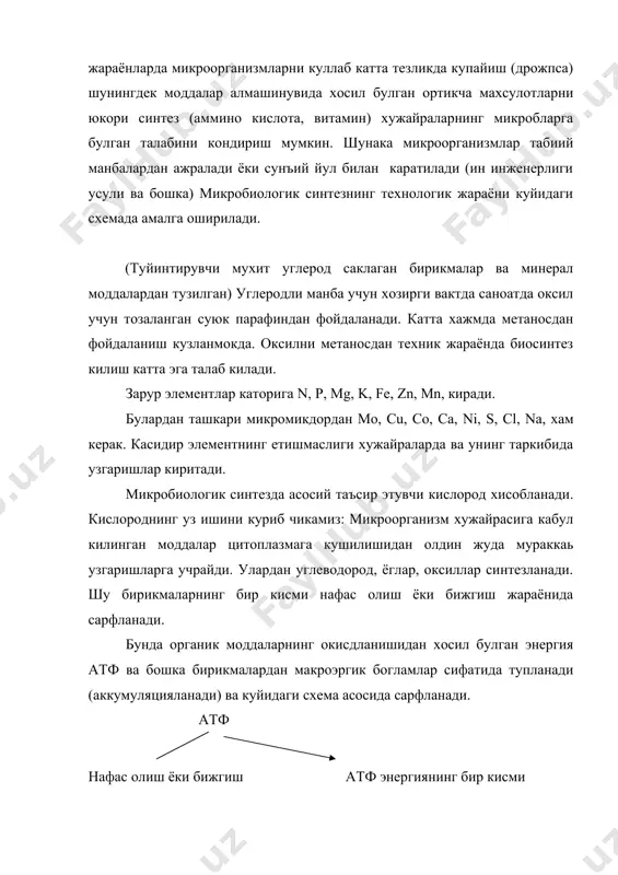 микробиологик синтез - Page 4