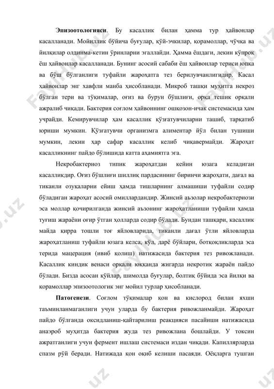 тез берилувчанлигидир. касал ҳайвонлар энг хавфли манба ҳисобланади. микроб ташқи муҳитга некроз бўлган тери ва тўқималар, оғиз ва бурун бўшлиғи, орқа тешик орқали ажралиб чиқади. бактерия соғлом ҳайвоннинг ошқозон-ичак системасида ҳам учрайди. кемирувчилар ҳам касаллик қўзғатувчиларни ташиб, тарқатиб юриши мумкин. қўзғатувчи организмга алиментар йўл билан тушиши мумкин, лекин ҳар сафар касаллик келиб чиқавермайди. жароҳат касалликнинг пайдо бўлишида катта аҳамиятга эга. некробактериоз типик жароҳатдан кейин юзага келадиган касалликдир. оғиз бўшлиғи шиллиқ пардасининг биринчи жароҳати, дағал ва тиканли озуқаларни ейиш ҳамда тишларнинг алмашиши туфайли содир бўладиган жароҳат асосий омиллардандир. жинсий аъзолар некробактериози эса моллар қочирилганда жинсий аъзонинг жароҳатланиши туфайли ҳамда туғиш жараёни оғир ўтган ҳолларда содир бўлади. бундан ташқари, касаллик майда қирра тошли тоғ яйловларида, тиканли дағал ўтли яйловларда жароҳатланиш туфайли юзага келса, кўл, дарё бўйлари, ботқоқликларда эса терида мацерация (ивиб қолиш) натижасида бактерия тез ривожланади. касаллик киндик венаси орқали юққанда жигарда некротик жараён пайдо бўлади. бизда асосан қўйлар, шимолда буғулар, болтиқ …