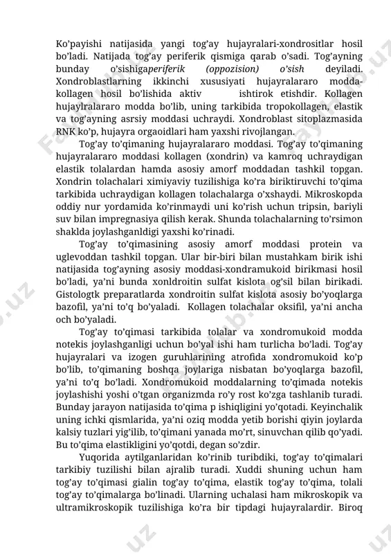hujayralarda sodir bo’ladigan bunday jarayon regressiv o’zgarish deyiladi. buning oqibatida hujayraning fiziologik vazifasi ham ancha pasayadi. tog’ay hujayralarining ximiyaviy tuzilishini tadqiq qilish uning tarkibida glikogenlar, lipidlar, fermentlar, ya’ni ishqoriy fosfataza, lipaza va oksidaza fermentlari borligini ko’rsatadi. xondroblast kam tabaqalangan yosh hujayra bo’lib, shakli yassi, o’rtasida bitta yadrosi bor. tog’ayning ustki pardasiga yaqin joylarida ko’p uchraydi. xondroblast doim ko’payib turish xususiyatiga ega. ko’payishi natijasida yangi tog’ay hujayralari-xondrositlar hosil bo’ladi. natijada tog’ay periferik qismiga qarab o’sadi. tog’ayning bunday o’sishigaperiferik (oppozision) o’sish deyiladi. xondroblastlarning ikkinchi xususiyati hujayralararo modda-kollagen hosil bo’lishida aktiv ishtirok etishdir. kollagen hujaylralararo modda bo’lib, uning tarkibida tropokollagen, elastik va tog’ayning asrsiy moddasi uchraydi. xondroblast sitoplazmasida rnk ko’p, hujayra orgaoidlari ham yaxshi rivojlangan. tog’ay to’qimaning hujayralararo moddasi. tog’ay to’qimaning hujayralararo moddasi kollagen (xondrin) va kamroq uchraydigan elastik tolalardan hamda asosiy amorf moddadan tashkil topgan. xondrin tolachalari ximiyaviy tuzilishiga ko’ra biriktiruvchi to’qima tarkibida uchraydigan kollagen tolachalarga o’xshaydi. mikroskopda oddiy nur yordamida ko’rinmaydi …