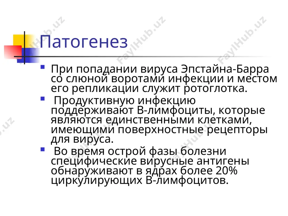инфекционный мононуклеоз - Page 5