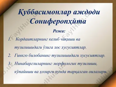 қуббасимонлар аждоди cониферопҳйта — PPTX