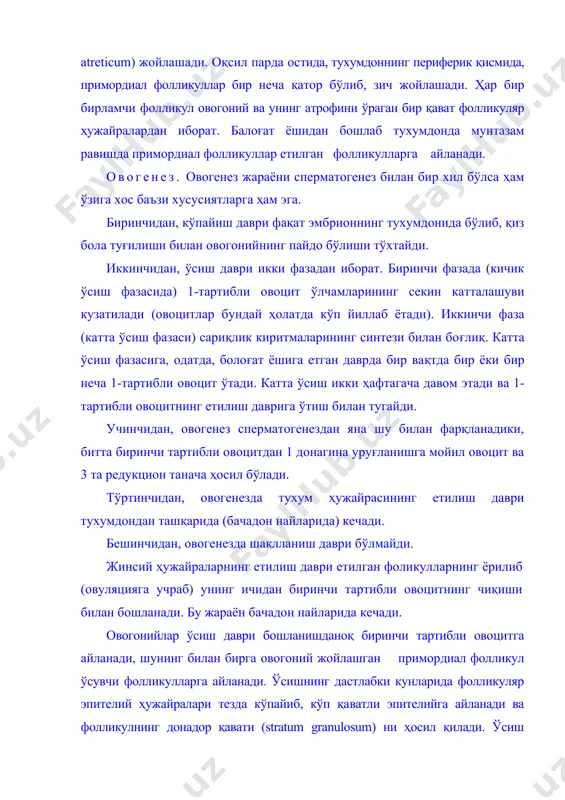 ужайралари тезда кўпайиб, кўп қаватли эпителийга айланади ва фолликулнинг донадор қавати (stratum granulosum) ни ҳосил қилади. ўсиш давридаги овоцит атрофида зич ялтироқ парда (zona pellucida) шаклланади. фолликул ўлчамининг катталашиши уни ўраб турувчи бириктирувчи тўқимали қобиқ (theca follciuli) нинг пайдо бўлишига асос бўлади. фолликулнинг донадор қавати билан бириктирувчи тўқимали қобиқ орасида фолликул эпителийсининг базал мембранаси — славянский мембранаси бўлади. кейинчалик, кўп сонли қон капиллярлари ўсиб кирган фолликул қобиғи икки қаватга дифференциаллашади. қобиқнинг ички қавати (theca interna) сийрак толали бириктирувчи тўқимадан иборат бўлиб, унда кўпгина капиллярлар жойлашади. бу капиллярларнииг атрофида кўп сонли безли интерстициал ҳужайралар йиғилади. қобиқнинг ташқи қавати (theca externa) зич толали бириктирувчи тўқимадан иборат. фолликулнинг кейинги тараққиёти гипофизнинг фолликулни стимулловчи гормон (фгс) таъсирида рўй беради. ҳужайралари митоз бўлиниш билан интен​сив кўпаяётган ва қалинлашган донадор қават ҳужайралари фол​ликуляр суюқликни секреция қила бошлайди. секрет аввалига ҳужайралар орасида тўплана бошлайди, сўнгра улар қўшилади. натижада фолликуляр суюқлик билан тўлган бўшлиқ пайдо бўлади. бу бушлиқнинг …