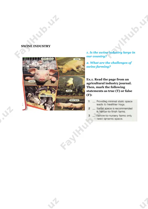 "swine industry lesson plan" - Page 4