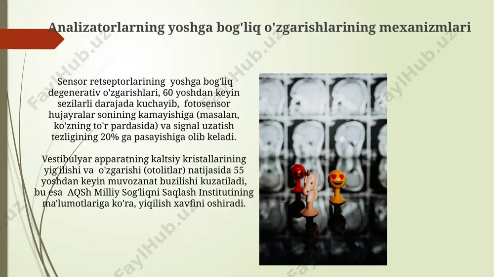 ildan-yilga taxminan 1-2% ga pasayadi, bu esa o'tkir va achchiq ta'mlarni farqlash qiyinlashishiga olib keladi, toshkentda o'tkazilgan bir qator kuzatuvlar shuni ko'rsatmoqda. sensor organlarning yoshga bog'liq o'zgarishlari ko'zning linzasining egiluvchanligi 40 yoshdan keyin pasayadi, bu esa yaqin ko'rish qobiliyatining (presbiyopiyaning) rivojlanishiga olib keladi va bu aqshda 65 yoshdan oshgan aholi orasida ko'zoynak taqishning keng tarqalgan sabablaridan biri hisoblanadi. quloqdagi soch hujayralarining sonining kamayishi 60 yoshdan keyin yuqori chastotali tovushlarni qabul qilish qobiliyatining pasayishiga olib keladi, bu esa yevropaning ko'plab mamlakatlarida eshitish qobiliyatining pasayishiga olib keluvchi asosiy omillardan biridir. termoregulyatsiya analizatorining yoshga bog'liq xususiyatlari termoretsptorlarning soni va faoliyati yosh bilan kamayadi; 70 yoshdan keyin, misol uchun, terining ayrim qismlarida termoretsptorlar zichligi 1 sm² ga 50% gacha kamayishi kuzatiladi, bu esa termoregulyatsiyani buzishi mumkin. bolalarda termoregulyatsiya tizimi yetarlicha shakllanmagan boʻlib, 2-3 yoshgacha tana harorati tebranishlariga moyil; bu esa ularni yuqori yoki past harorat ta’siriga osonlik bilan ta’sirchan qiladi, xususan, sovuq hududlarda. og'riq …